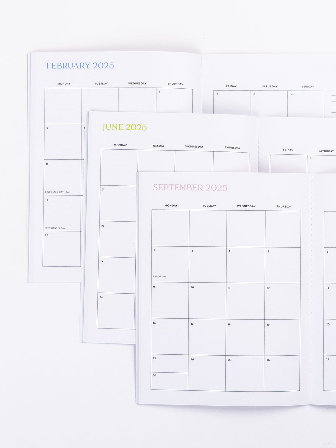 2025 Large Monthly Planner | Lock Step