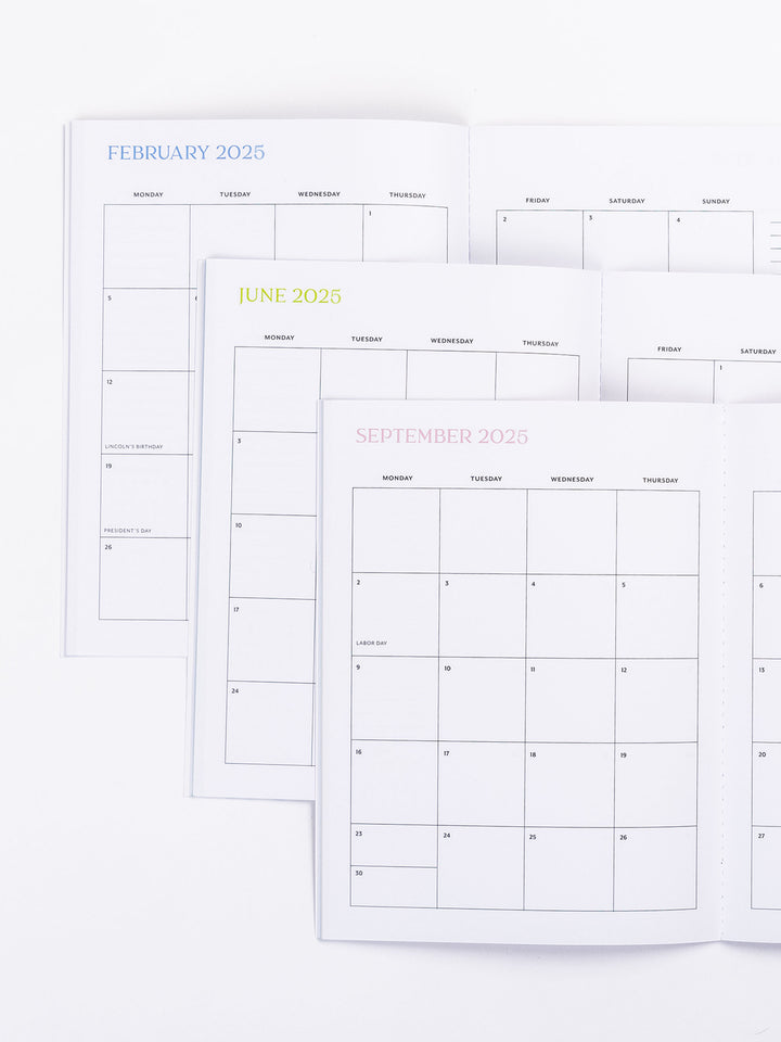 2025 Large Monthly Planner | Lock Step